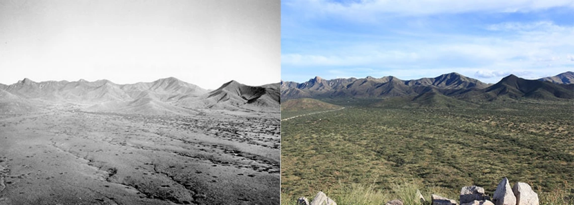 The photo on the left, taken by botanist David Griffiths on September 18, 1904, shows the view from Orphan Butte. The photo on the right was taken from the same viewpoint on October 2, 2018.