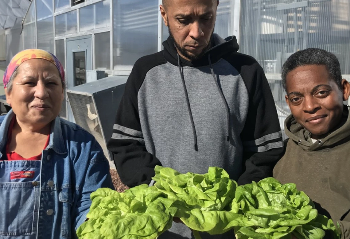 Participants holding heads of lettuce