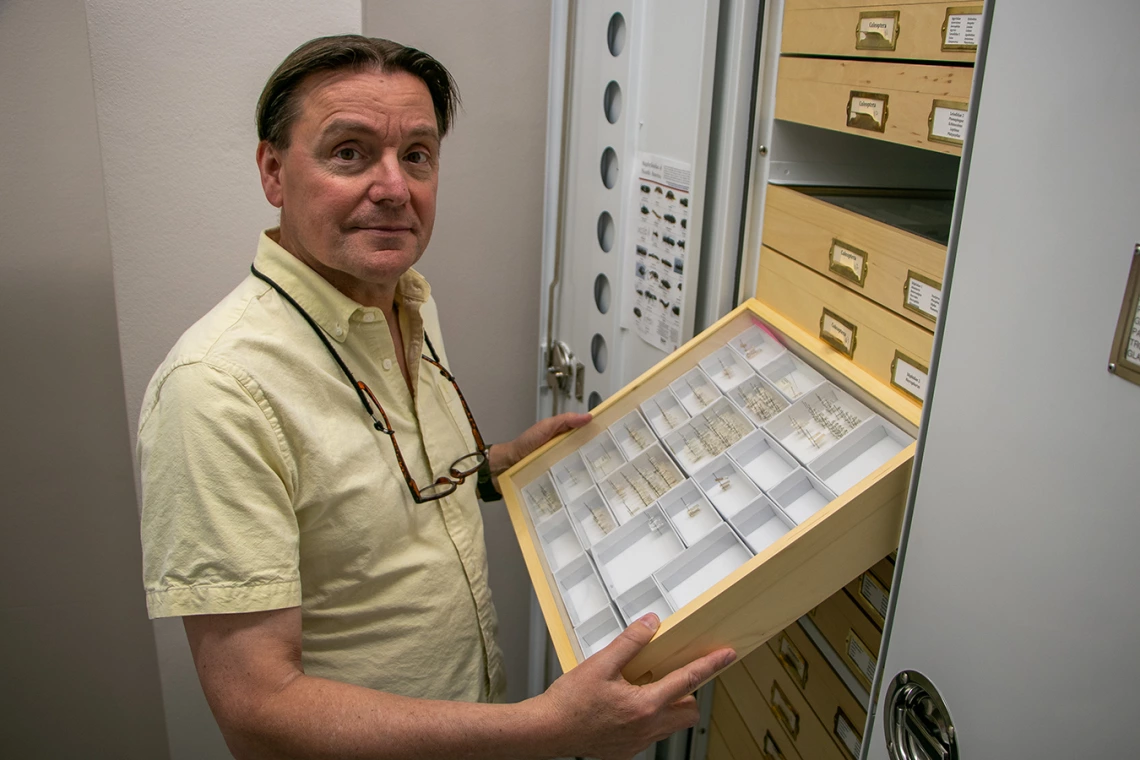 Gene Hall in the UA Insect Collection