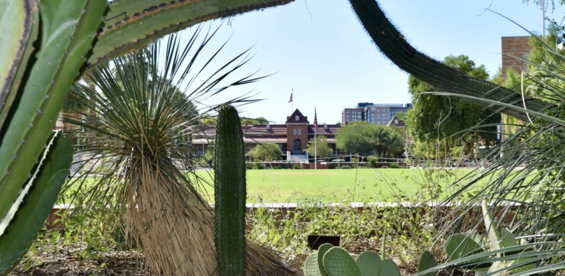 picture of old main behind foliage