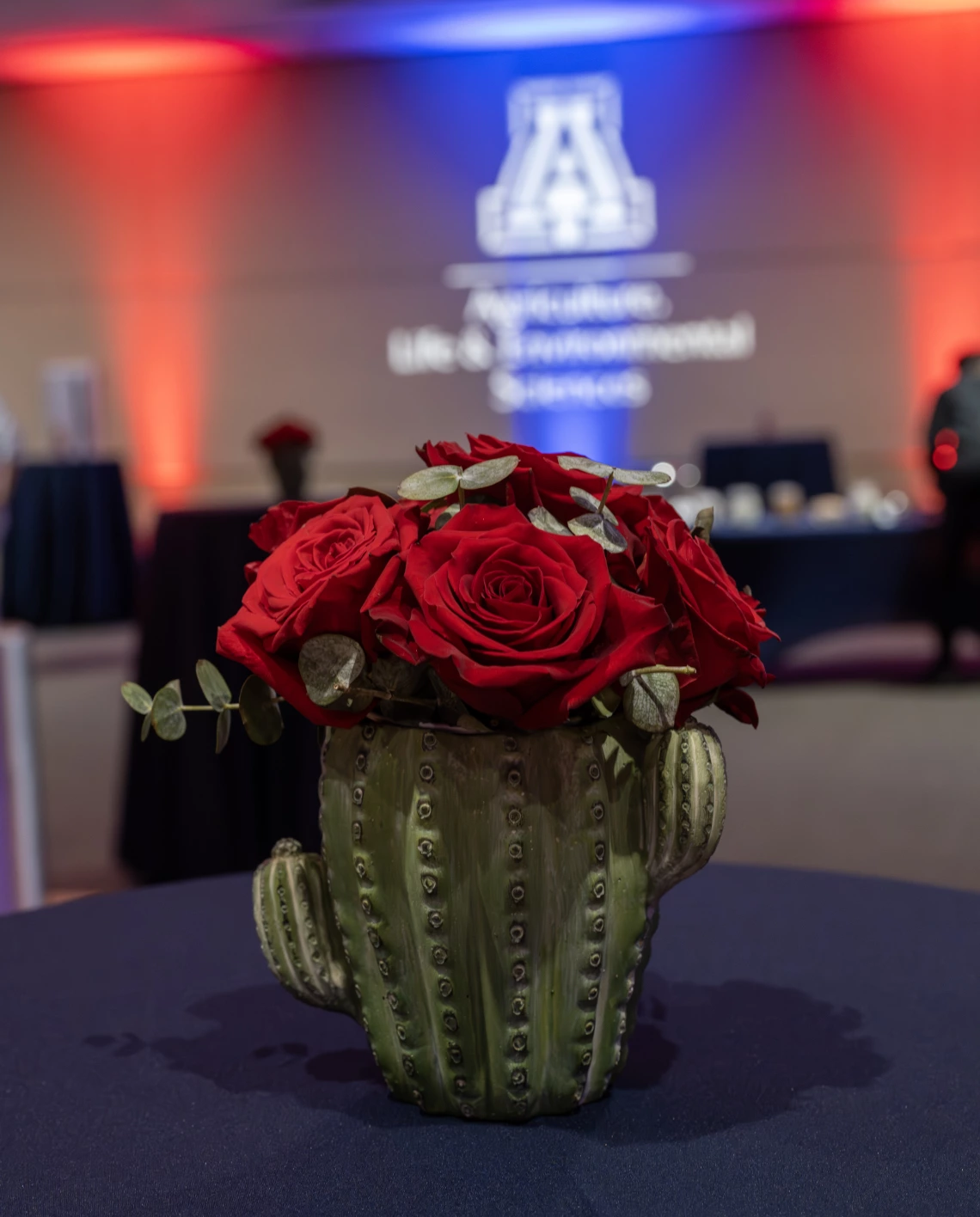 Cactus table decoration at the 2025 ALVSCE Awards Night