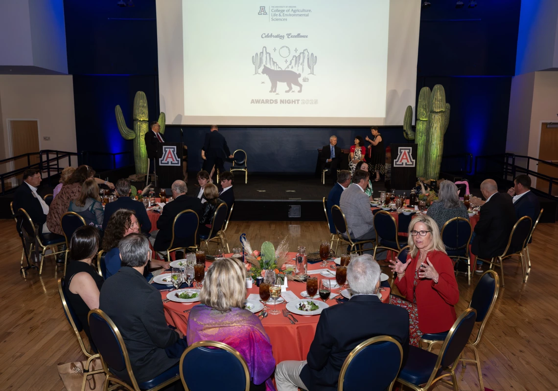 Dinner at the 2025 ALVSCE Awards Night