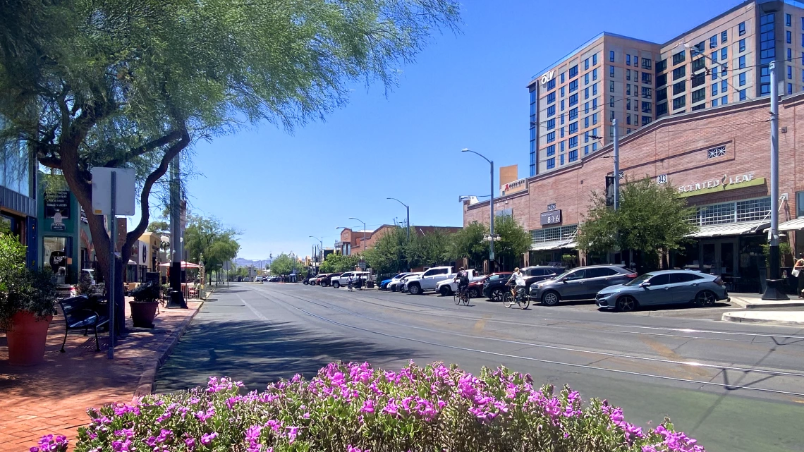 Picture of University Boulevard shops.