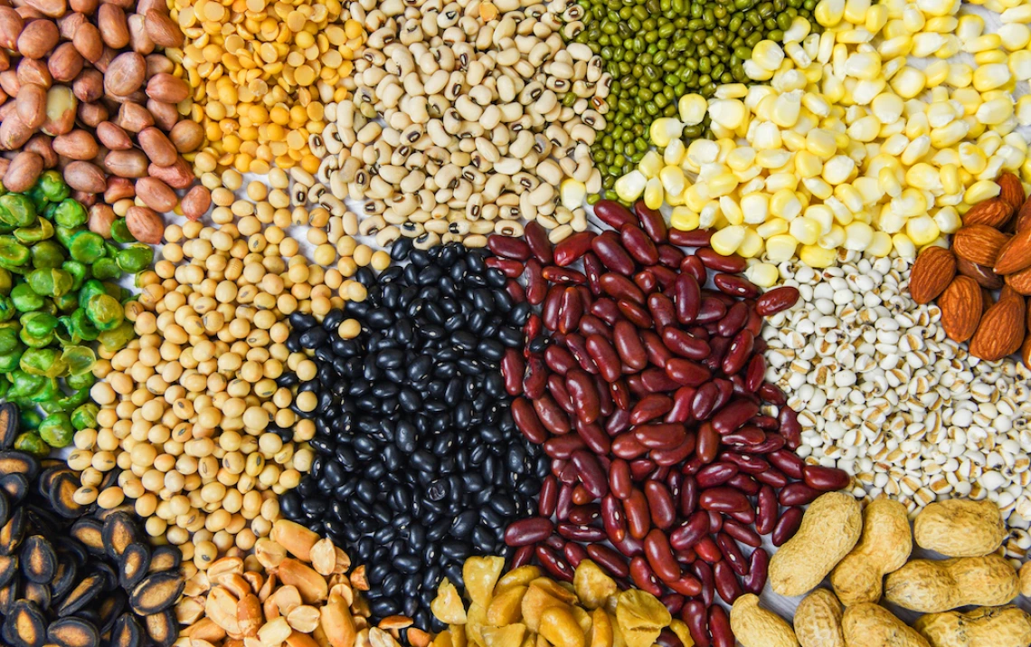 Display of different kinds of dried pulses