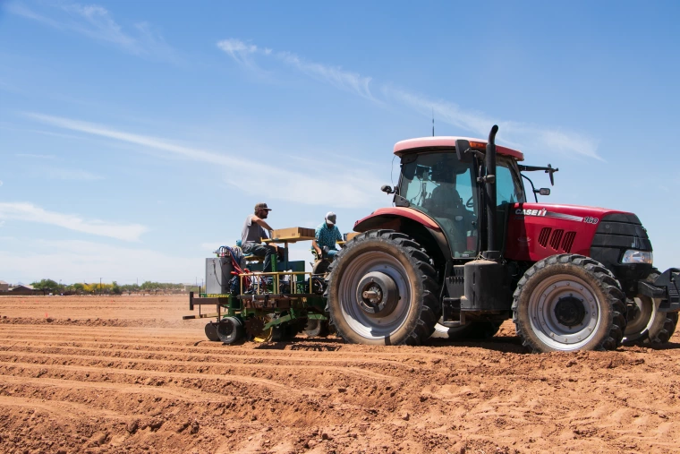 Cotton planting at Maricopa Agricultural Center