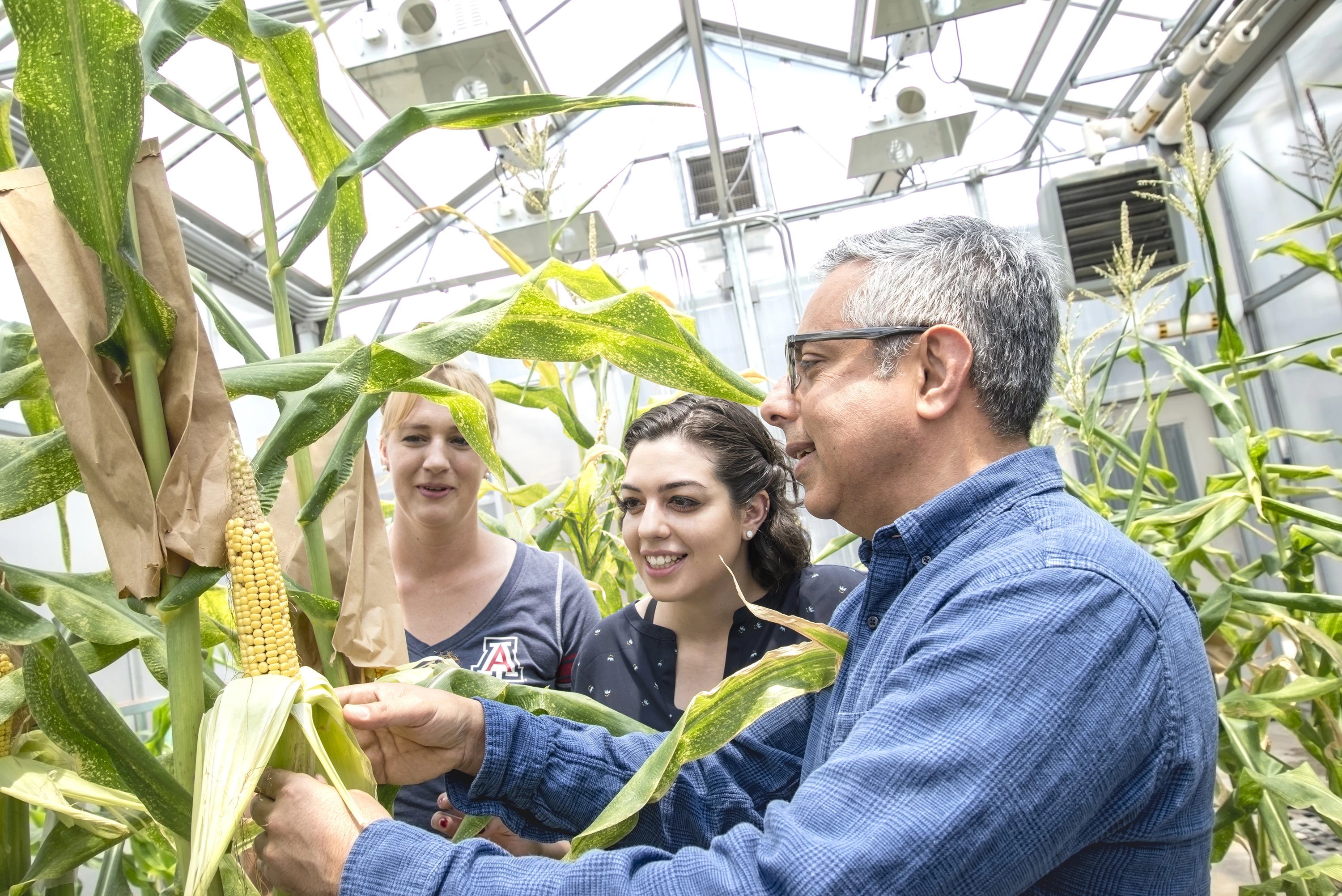 Plant Lab