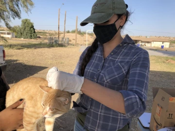 Member treating cat