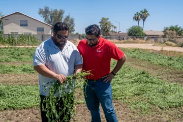 Debankur Sanyal and Ed Savage inspect cover crop