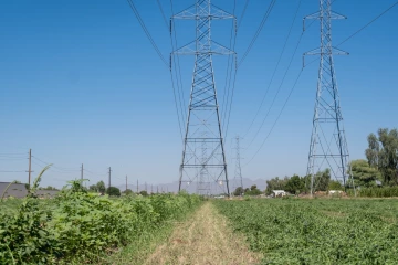 Urban farm in Glendale Arizona