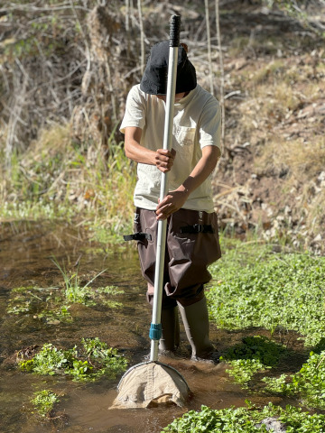 A student works with a wildlife net in Gila Box Riparian National Conservation Area in Southern Arizona.