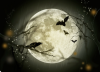 Picture of moon with bats in flying in front