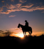 picture of a cowboy looking at sunset