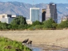 Picture of a vaquera in the Santa Cruz wash