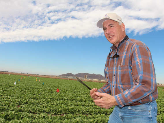 John Palumbo in a Yuma agricultural field