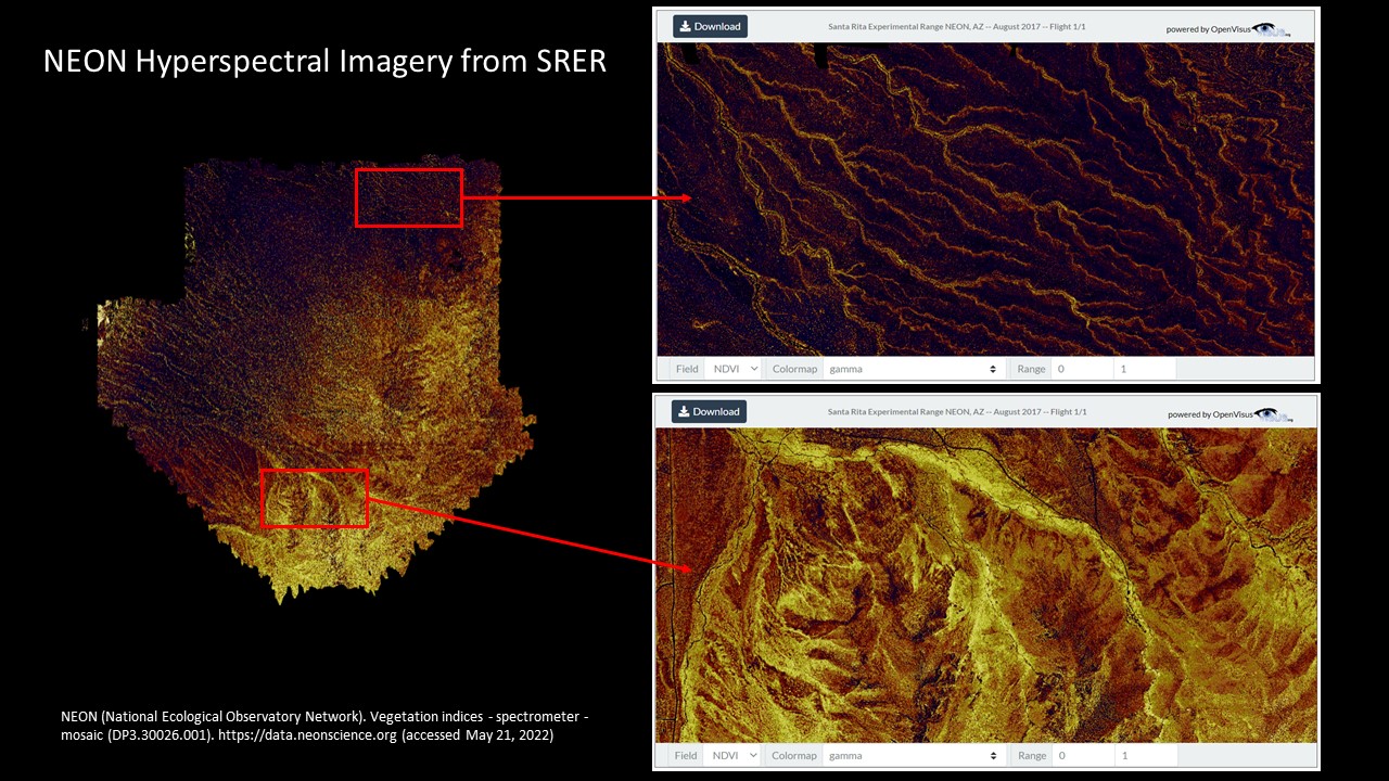 An example of NDVI data from SRER downloaded from the NEON Data Portal. 