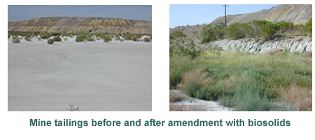 Mine Tailings before and after amendment with biosolids