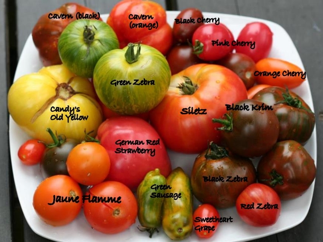 What's the Difference? Open-Pollinated, Heirloom & Hybrid Seeds